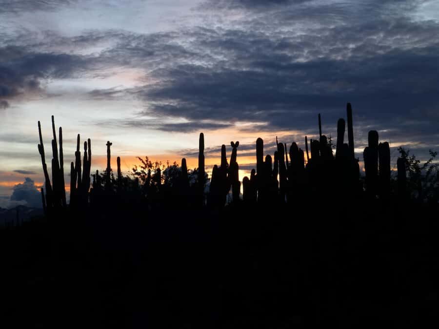 Villavieja: Tatacoa Desert Horseback Riding Tour - Tatacoa Desert on horseback: what makes this ride worth $86