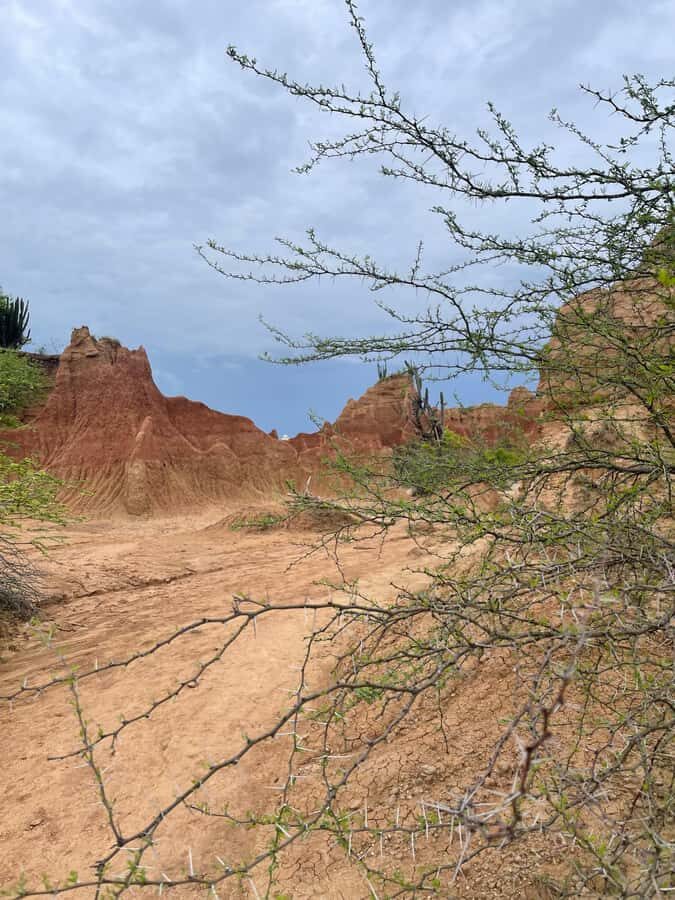 Villavieja: Tatacoa Desert Horseback Riding Tour - Who this horseback tour suits best (and who should skip it)