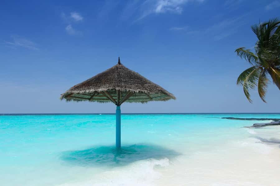 VIP 5 islands w.lunch,rum,vodka, beer, snorkeling, plankton - Bocachica and Isla Grande: the Pablo Escobar-linked stop