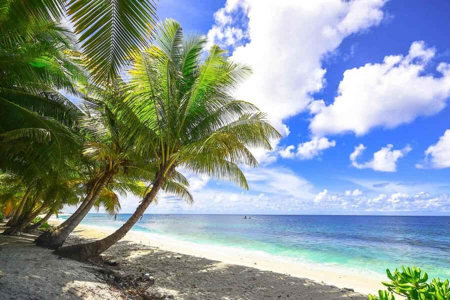 VIP 5 islands w.lunch,rum,vodka, beer, snorkeling, plankton - Cholón Island lunch and music: where you recharge
