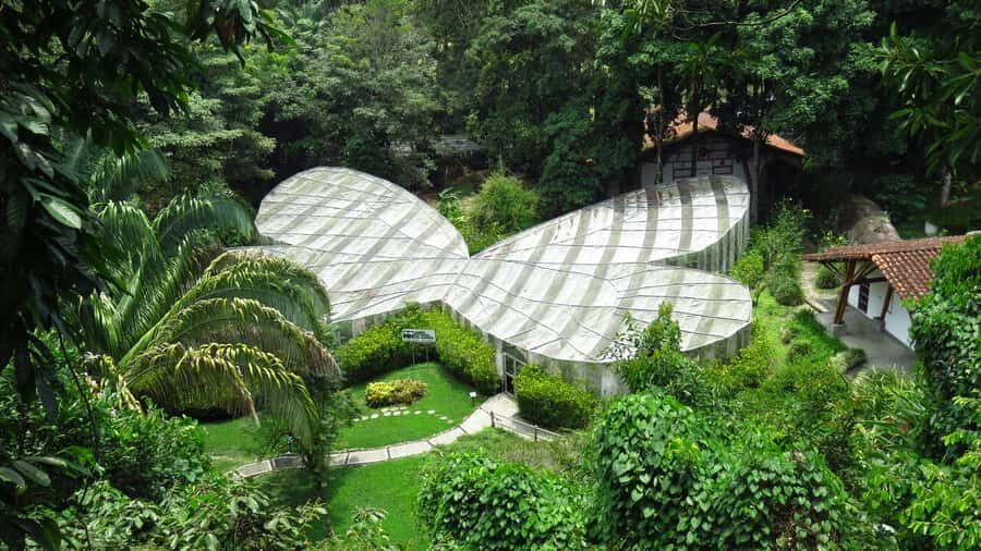 Walking tour José Celestino Mutis Botanical Garden 3 hrs - A garden named for a science legend