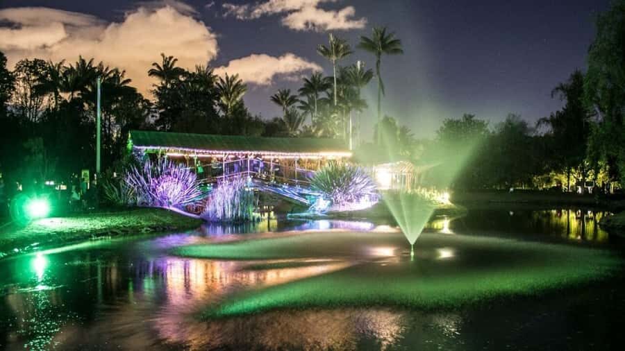 Walking tour José Celestino Mutis Botanical Garden 3 hrs - The orchid highlight: 5000 native blooms on foot